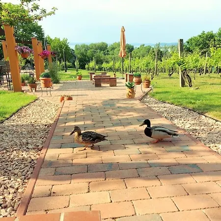 Apartamento Linczi Ház Csopak