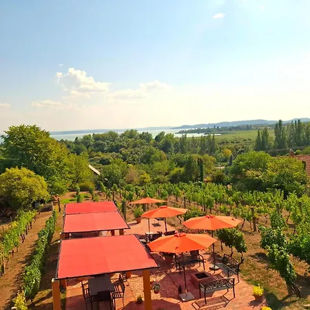 Linczi Ház Apartamento Csopak